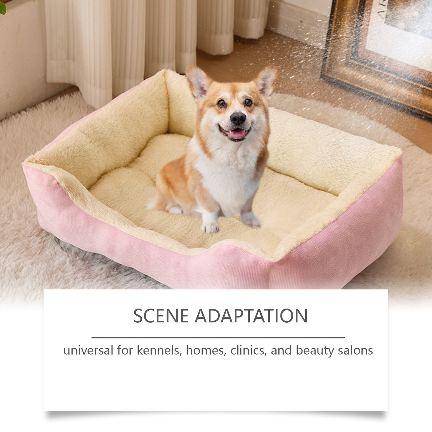 Kennel Odor Eliminator 🍑 Concentrate – Non-Enzymatic, Apricot & Fresh Scents for Tough Pet Odors