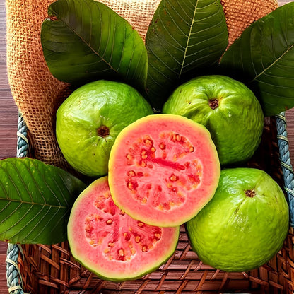 💥Early Spring Sale - Guava Seeds Easy-to-cultivate Fruit Tree Seeds