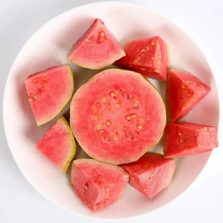 💥Early Spring Sale - Guava Seeds Easy-to-cultivate Fruit Tree Seeds