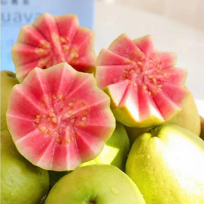 💥Early Spring Sale - Guava Seeds Easy-to-cultivate Fruit Tree Seeds