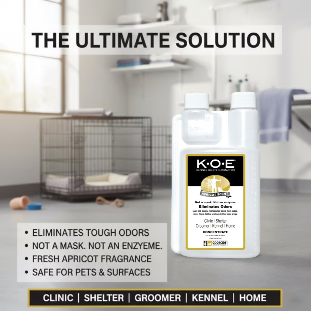 Kennel Odor Eliminator 🍑  Concentrate – Non-Enzymatic, Apricot & Fresh Scents for Tough Pet Odors