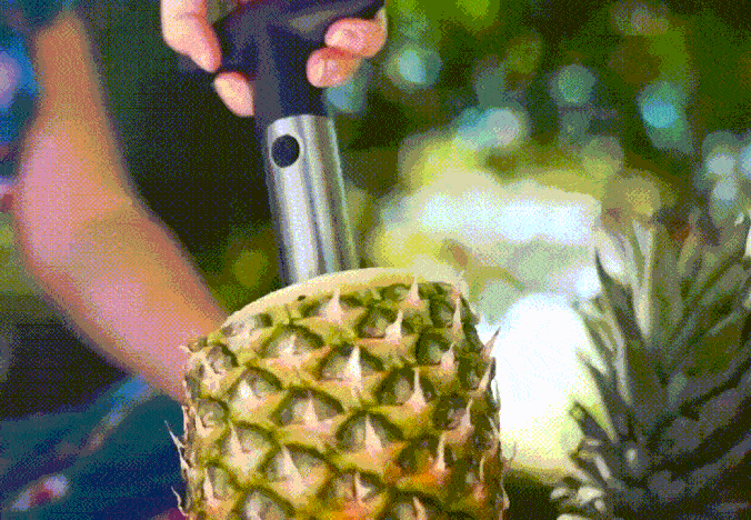Stainless Steel Pineapple Corer