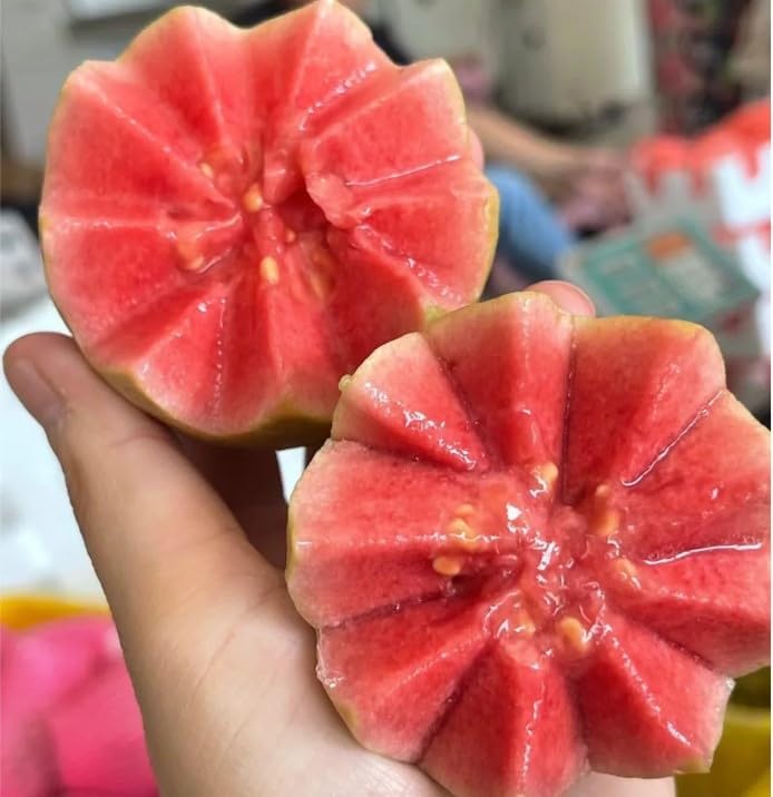 💥Early Spring Sale - Guava Seeds Easy-to-cultivate Fruit Tree Seeds