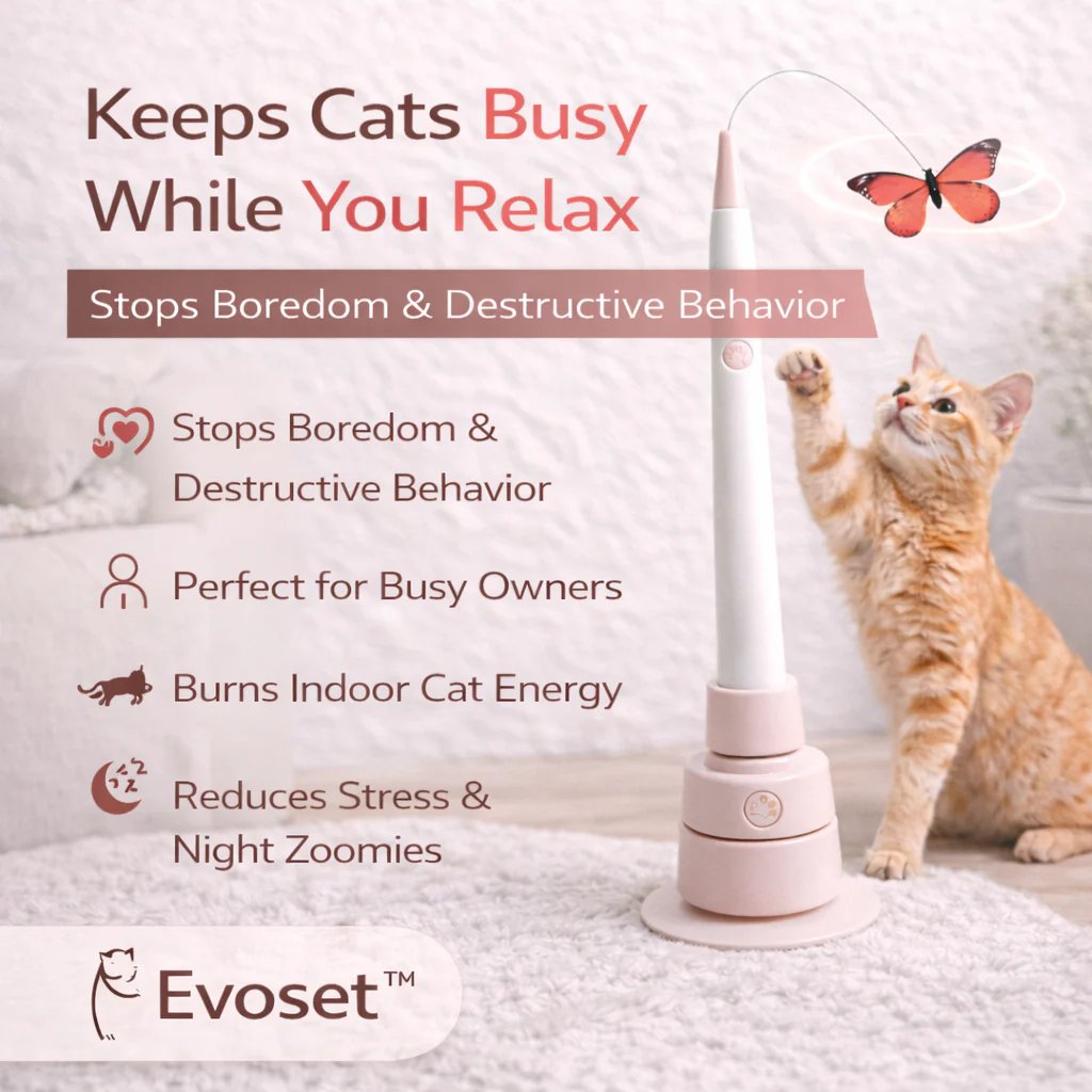Smart Butterfly Cat Toy — Automatic Teaser for Active Cats 🐾